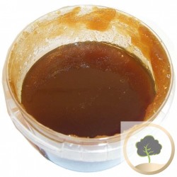 Miel de Chardon du Maroc -500 g
