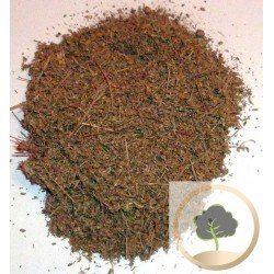 Rośliny Artemisia lub CHIH