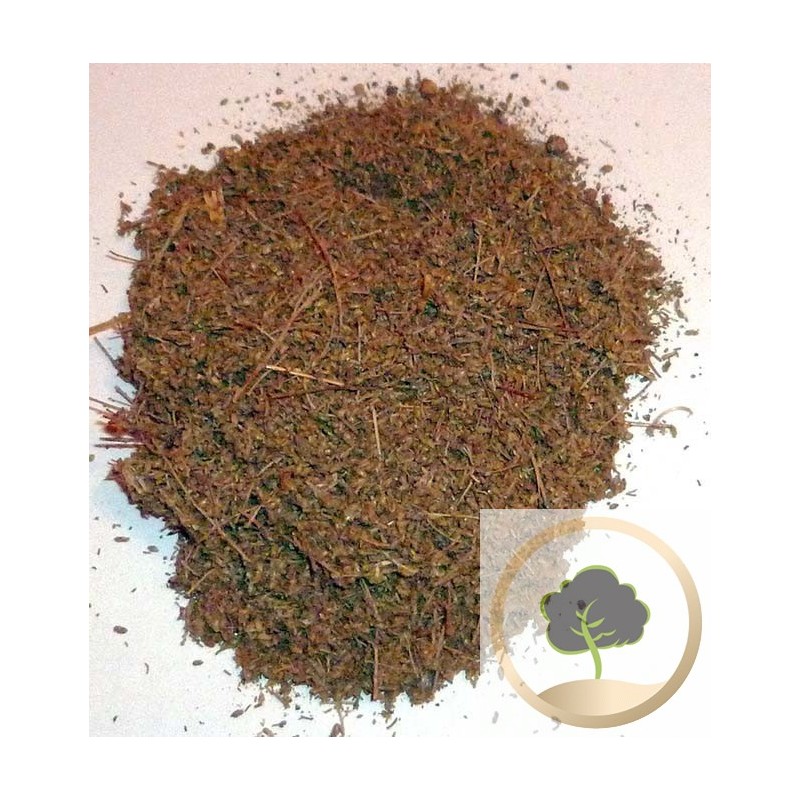 Artemisia herba alba’s Seeds
