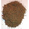 Plant Artemisia of CHIH