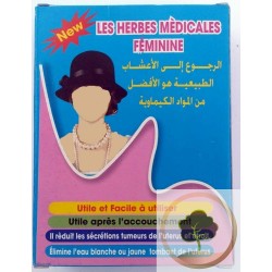 ervas medicinais femininas
