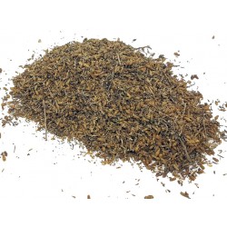 Artemisia herba alba’s Seeds