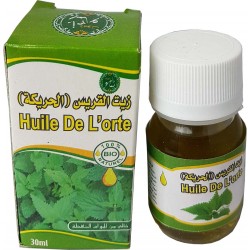 Nettle oil