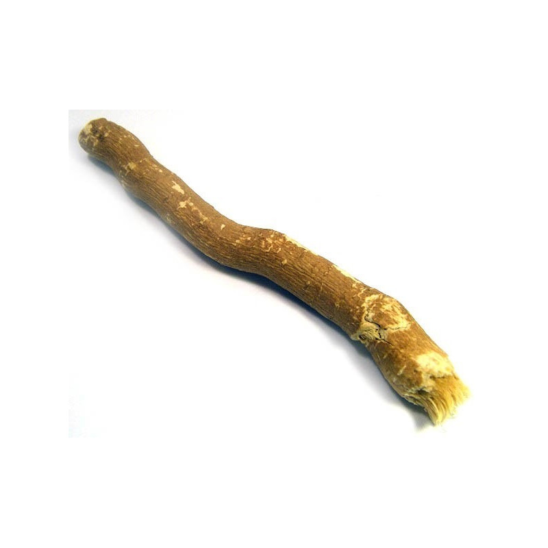 Bastoncino Miswak naturale