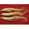 Ginseng in polvere