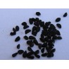 Nigella entera (semillas negras) - 250 g