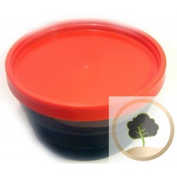 Pot of Beldi Black Soap 