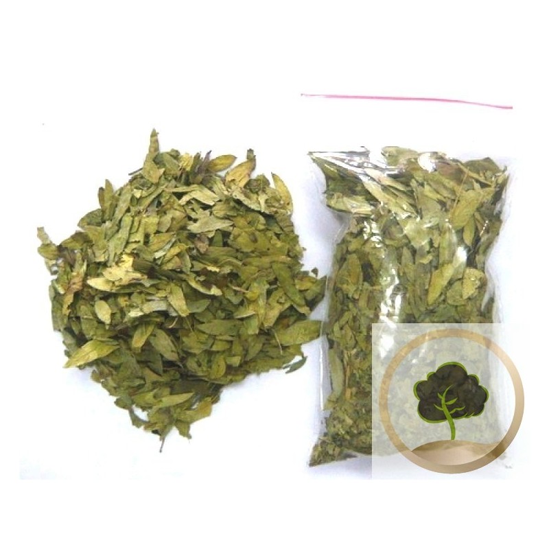 Senna leaves herbal tea (Sana Makki)