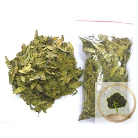 Senna leaves herbal tea (Sana Makki)