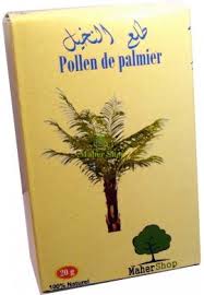 Polline di palma